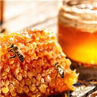 Honeycomb & Santal - Upcycled FO Blend 1010